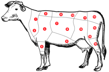 {{brizy_dc_image_alt imageSrc=