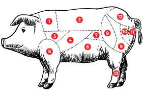 {{brizy_dc_image_alt imageSrc=