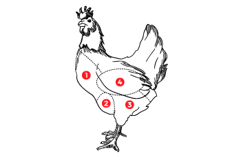 {{brizy_dc_image_alt imageSrc=